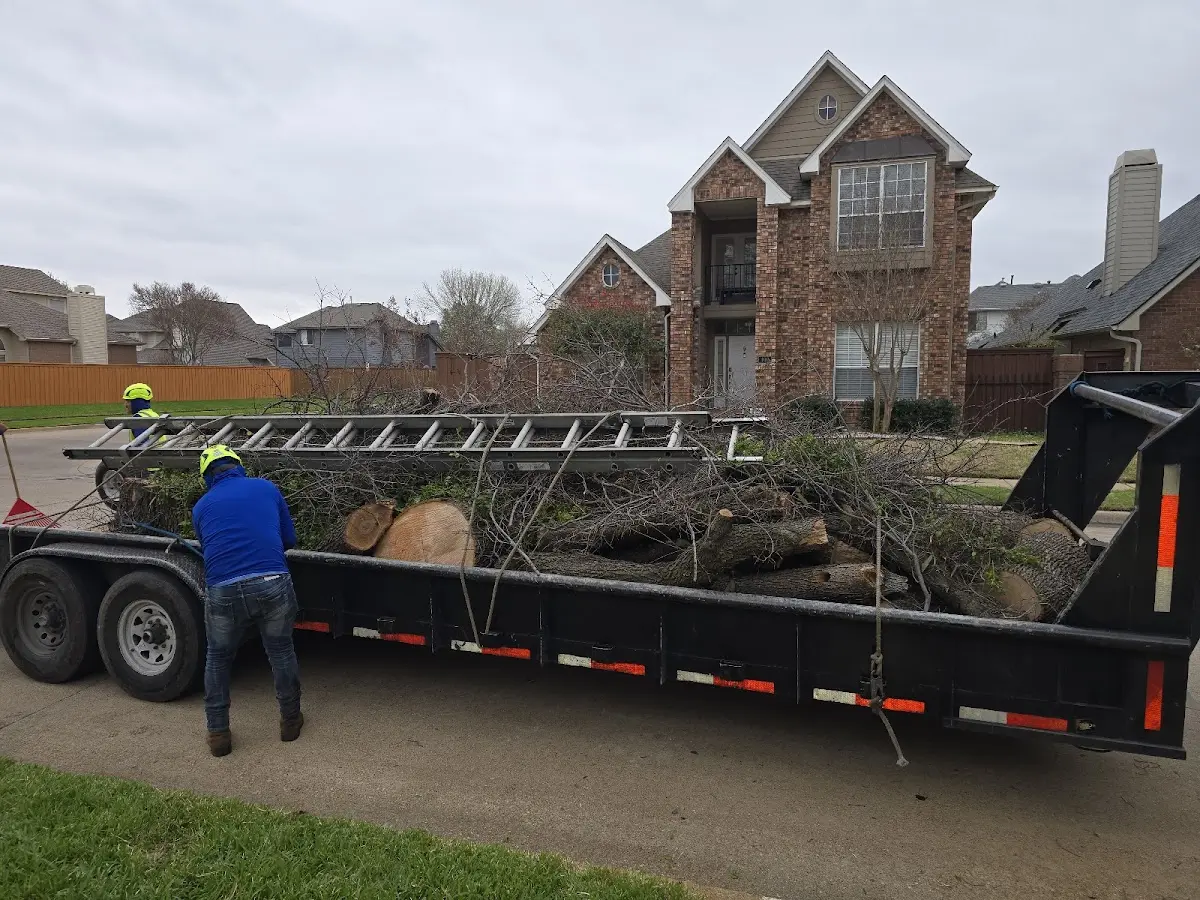 Expert Crown Reduction with proper safety equipment in Brookhaven